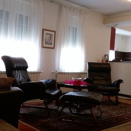Apartment Krsmanovic Arandjelovac Kültér fotó